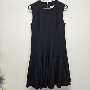 Carmen Marc Valvo Sleeveless Fit & Flare Size 6 Black Whimsigoth